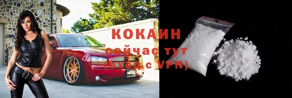 ешки Корсаков