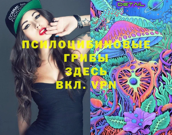 ешки Корсаков