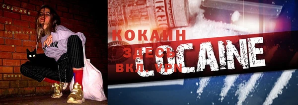 ешки Корсаков