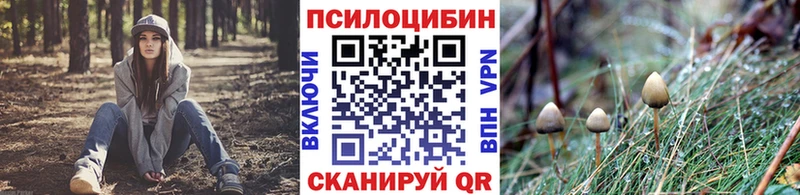 Галлюциногенные грибы Psilocybe  hydra зеркало  Кинешма  купить наркотики сайты 