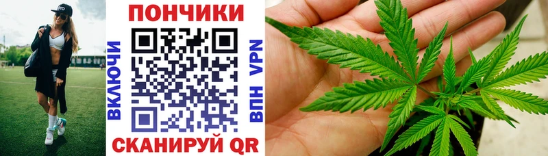 купить закладку  Кинешма  omg маркетплейс  Бошки Шишки Ganja 